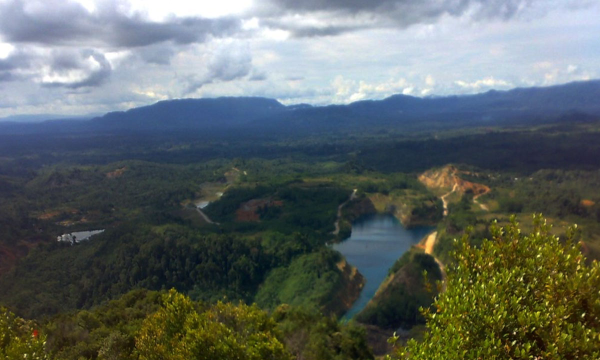 Gunung Palung National Park Exploration
